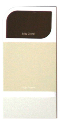 10PK WH IdeaCard WHIC33
