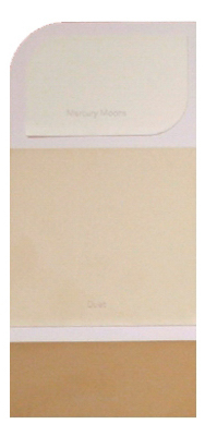 10PK WH IdeaCard WHIC39