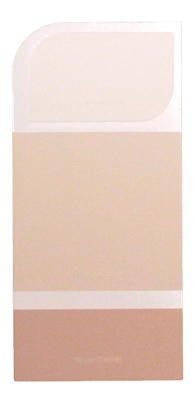 10PK WH IdeaCard WHIC14