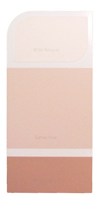 10PK WH IdeaCard WHIC13