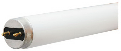 GE4' T8 SPP50 Fluo Bulb