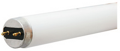 GE32W 4' CW FLUO TUBE