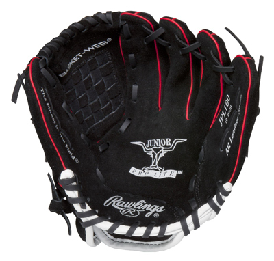 40PC Songbird FeederDSP