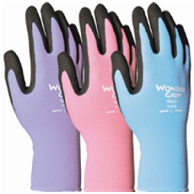 WG1850  Glove MED Wonder GDN