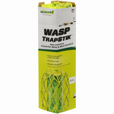 Wasp Carpenter B Trapstik Rescue