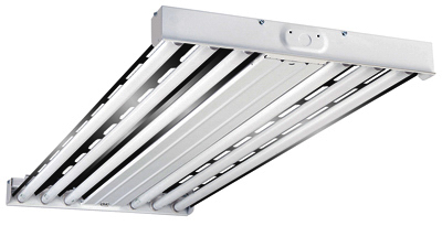 4' 6Lamp T5 HBL Fixture