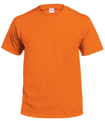 ORG S/S T Shirt - LG
