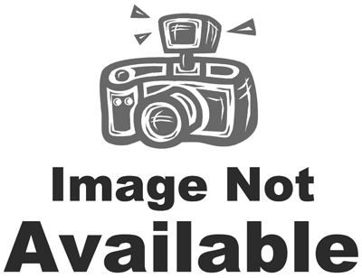 187PC Frag GDN Bulb PLT