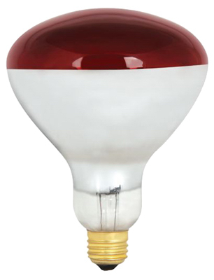 2PK 250W RED Heat Lamp