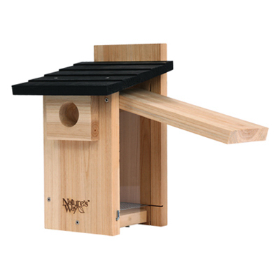Bird House Bluebird Cedar