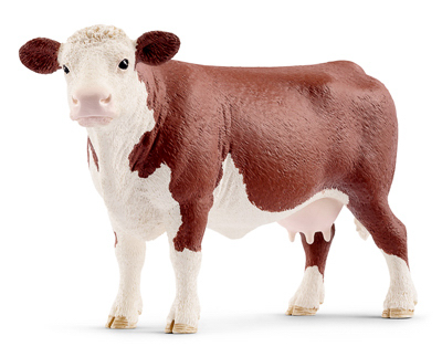 BRN Hereford Cow