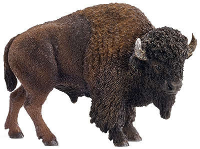 BRN American Bison