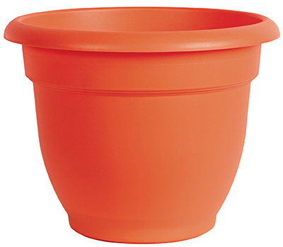 Ariana 10" ORG Planter