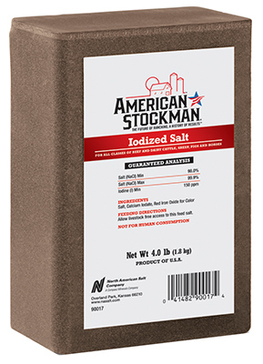 4LB Iodized Salt Brick