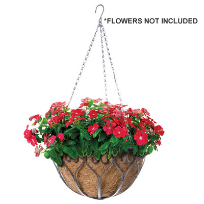 14" Savanna Hang Basket