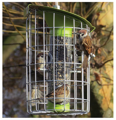 RNDhaus LG Bird Feeder
