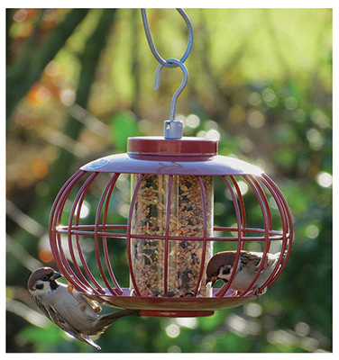 Lantern Bird Feeder