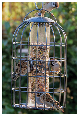 XL Classic Bird Feeder