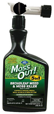 24OZ RTS 5 IN 1 MOSS OUT