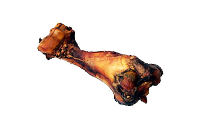 12-14 Dino Bone