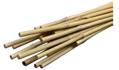 Miracle Gro 2' Bamboo Stake 12pk