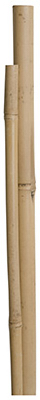 MG 4PK 5' Bamboo Pole