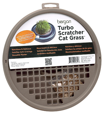 Turbo Cat Grass