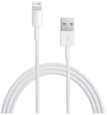 Apple 10' White Sync Cable
