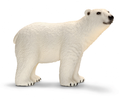 WHT Polar Bear
