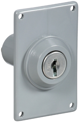 Gray Electric Key Switch