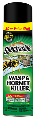 20OZ Wasp/Hornet Killer