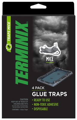 Term4PK Mouse Glue Trap