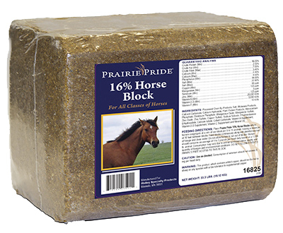 33LB 16% Horse Block
