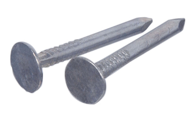 100PK 1" Galvanized Roofing Nail