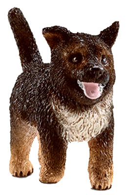 BRN Germ Shepherd Puppy