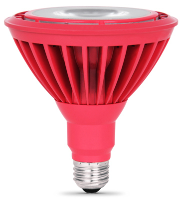 CONE WASHER ASSORTMENT