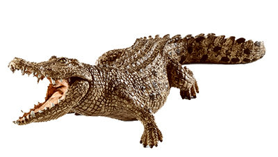 GRN/PNK Crocodile 14736