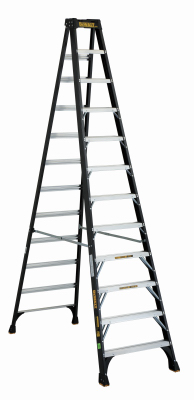 Dewalt 12'FBG 1A Ladder