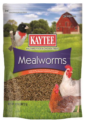 Kaytee 100527190 Mealworm, 32 oz