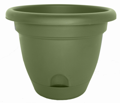 6" LivGRN Lucca Planter