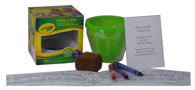 Crayo Color FLWRPot Kit