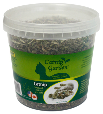 20524   Catnip GDN 2.5OZ