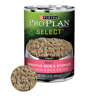 Pro 13OZ Salm Dog Food