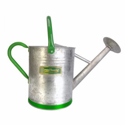 GT 2GAL Galv Watering Can