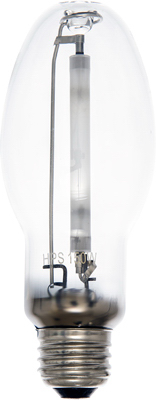 150W Mini Sunburst Bulb