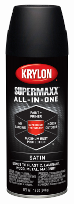 SPRAY 12OZ BLK Sat Paint