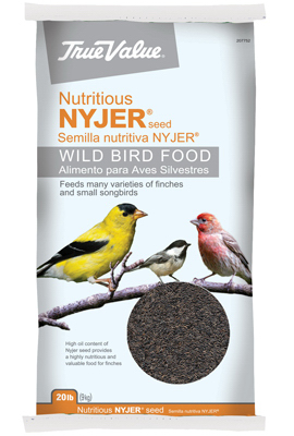 Kaytee Nyjer 100525187 Wild Bird Seed, 20 lb