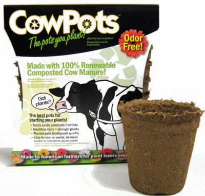 12PK 3" Cow Pots