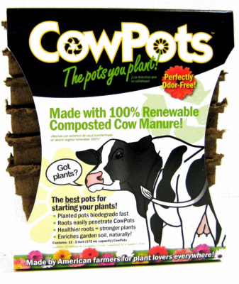12PK 3" Cow Pots