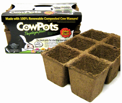 3PK 3" 6 Cell Cow Pot Flats